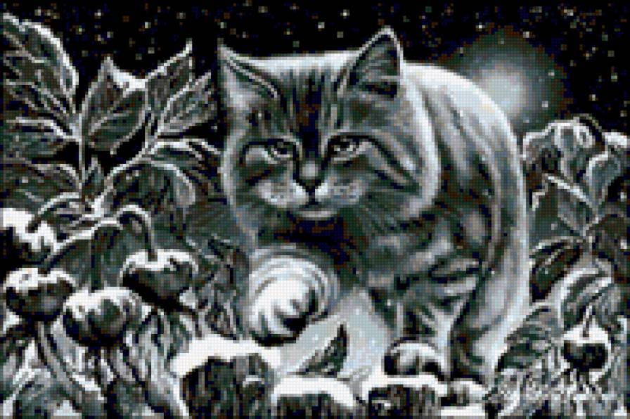 Зимний кот - черное, животное, зверь, зима, природа, кот - предпросмотр