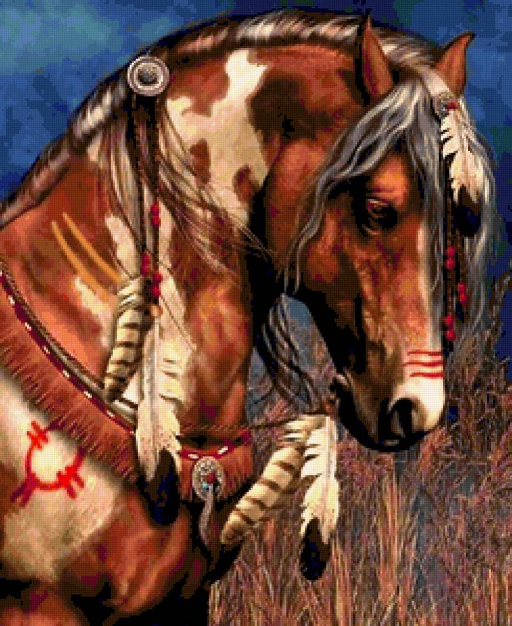 лошадь - конь, индеец, перья, животные - предпросмотр