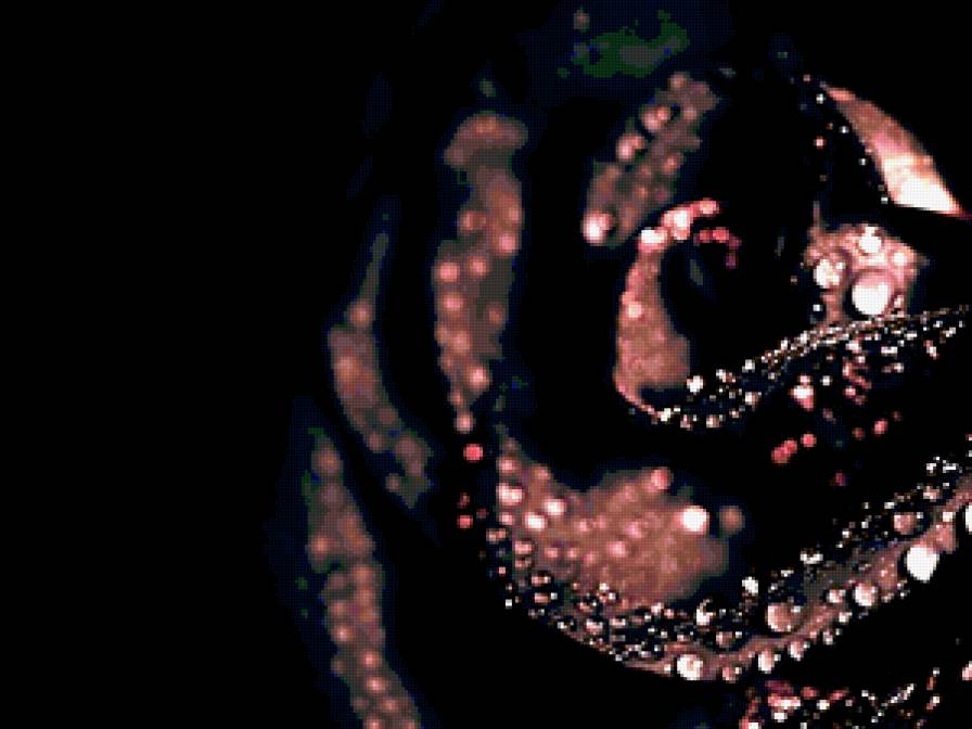 №354287 - предпросмотр