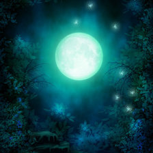 Схема вышивки «полнолуние»