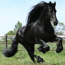 Схема вышивки «Фриз»