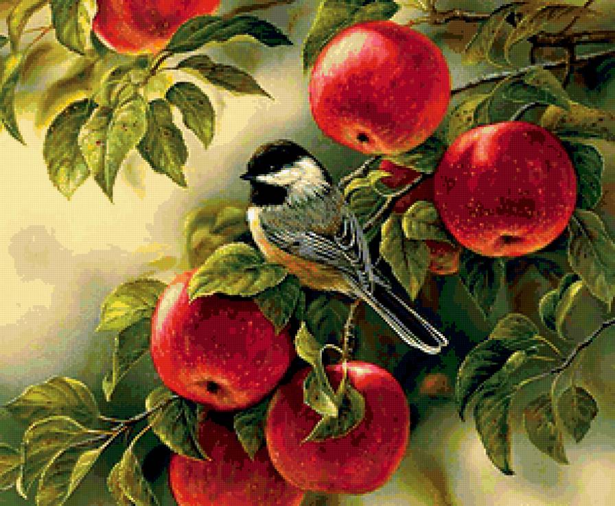 Синичка - птицы, синичка - предпросмотр