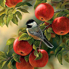 Схема вышивки «Синичка»