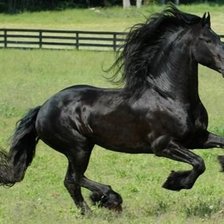 Схема вышивки «Фриз»