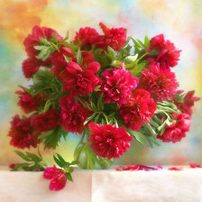 Схема вышивки «Пионы»