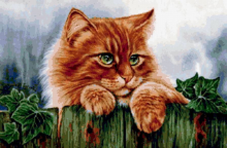 Ирина Гармашова "Коты" - предпросмотр