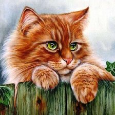 Схема вышивки «Ирина Гармашова "Коты"»