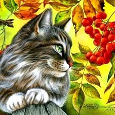 Схема вышивки «Ирина Гармашова "Коты"»