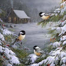 Схема вышивки «Птицы»