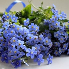 Схема вышивки «Незабудки»