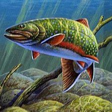 Схема вышивки «№355561»