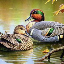 Схема вышивки «№355563»