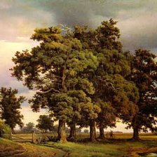 Схема вышивки «Дуб»