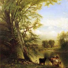 На берегу реки