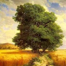 Схема вышивки «Дуб»