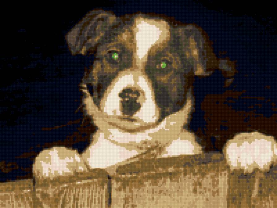 бароша - предпросмотр