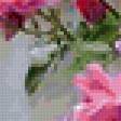 Предпросмотр схемы вышивки «розы» (№355685)