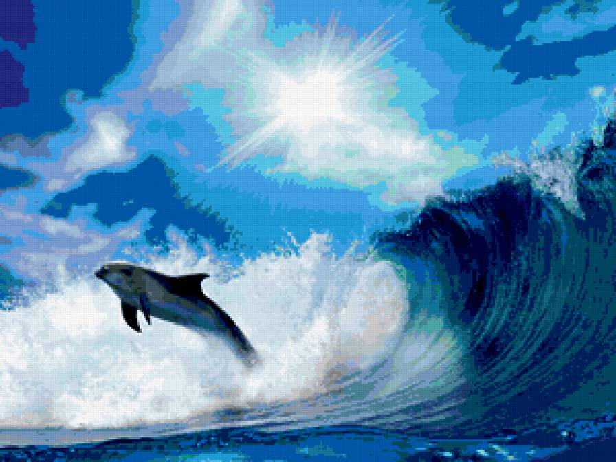 DELFIN - предпросмотр