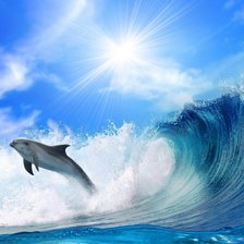 Схема вышивки «DELFIN»