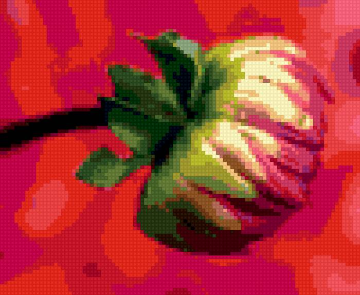 бутон - цветы - предпросмотр