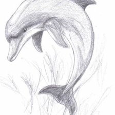 Схема вышивки «Дельфинчик»