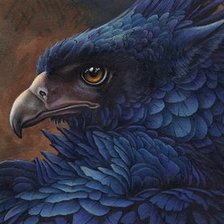 Схема вышивки «орел»