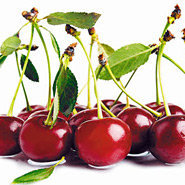 Схема вышивки «фрукті»