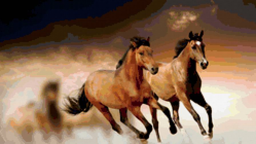 Лошади - лошади, животные - предпросмотр