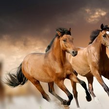 Схема вышивки «Лошади»