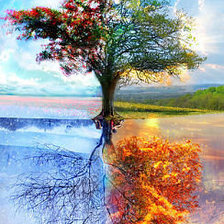 Схема вышивки «Древо жизни»