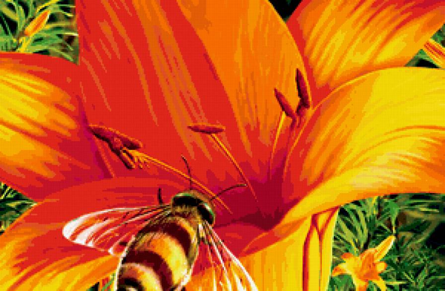 лилия - цветы - предпросмотр