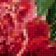 Предпросмотр схемы вышивки «Пионы» (№356301)