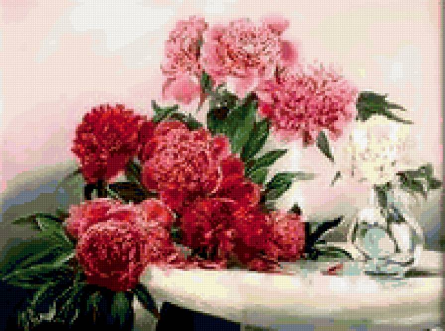 Пионы - цветы, пионы, букет - предпросмотр