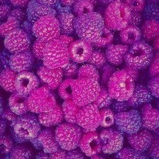 Схема вышивки «малинка»