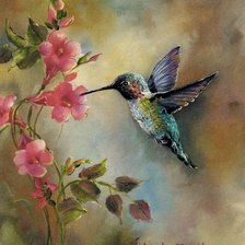 Схема вышивки «Коллибри.»