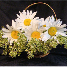 Схема вышивки «ромашки»