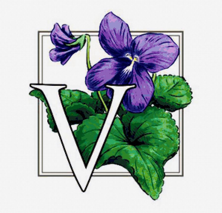 цветок - цветы, цветок - предпросмотр