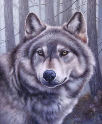 №356600 - оригинал