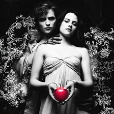 Схема вышивки «Пара»