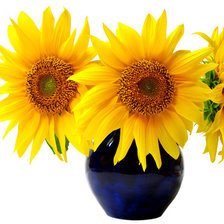 Схема вышивки «подсолнухи»