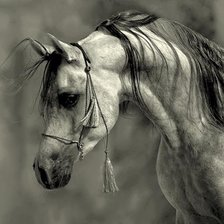 Схема вышивки «№356821»