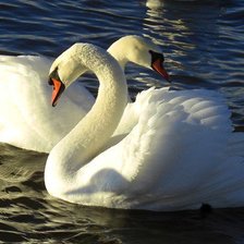 Схема вышивки «Лебеди»