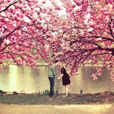 Схема вышивки «Пара»