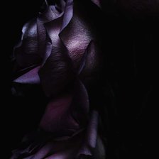 Схема вышивки «Роза на черном фоне»