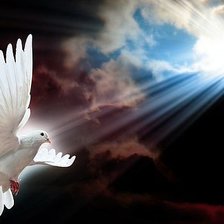 Схема вышивки «№357038»