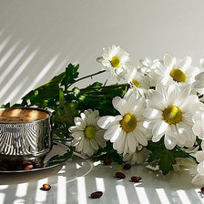 Схема вышивки «ромашки»