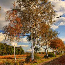 Схема вышивки «осень»