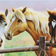 Схема вышивки «№357652»