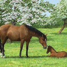 Схема вышивки «№357653»