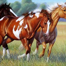 Схема вышивки «№357656»